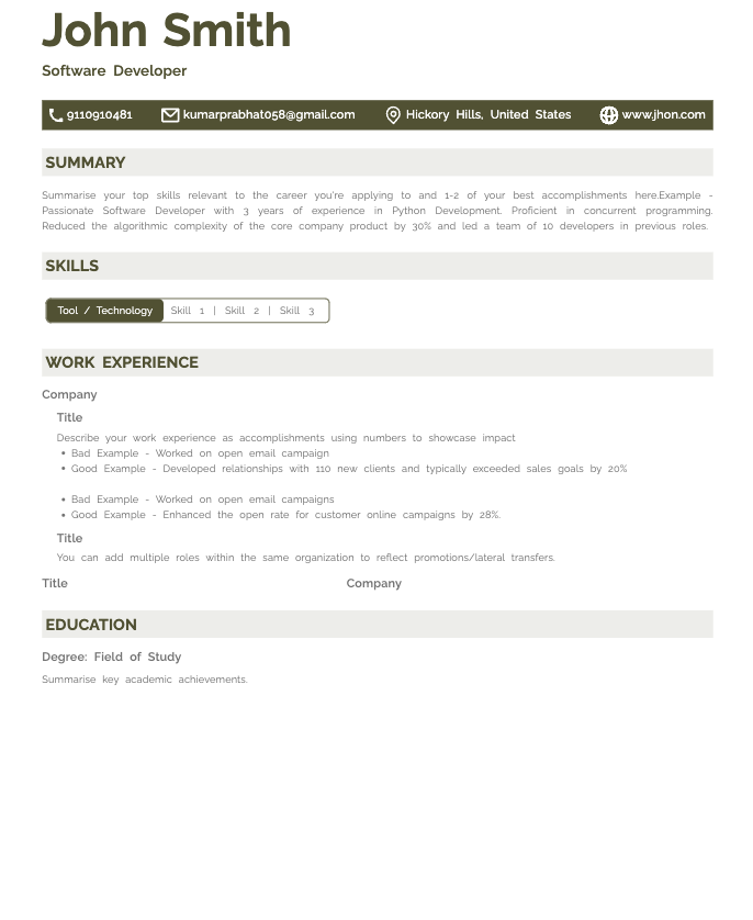 Professional resume template