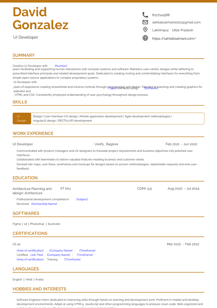 updated resume format 2022 pdf