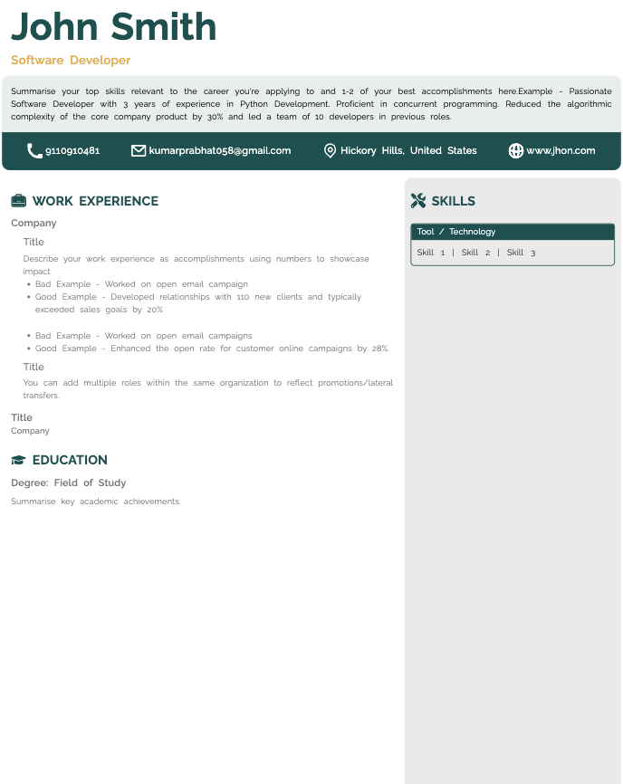 Savvy resume template